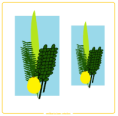 /album/les-chiffres/luoiulav-png/